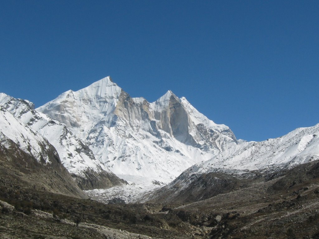 Bhagirathi peaks[I: 6,856 metres (22,493 ft); II: 6,512 metres (21,365 ft); III: 6,454 m (21,175 ft)] from Bhojbasa by Vijay Uniyal