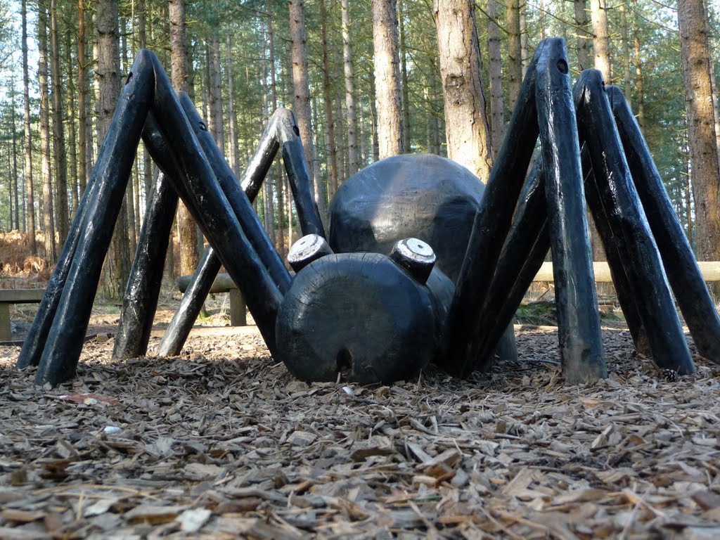 Moors Valley - Play Trail. by Anthony Birkbeck