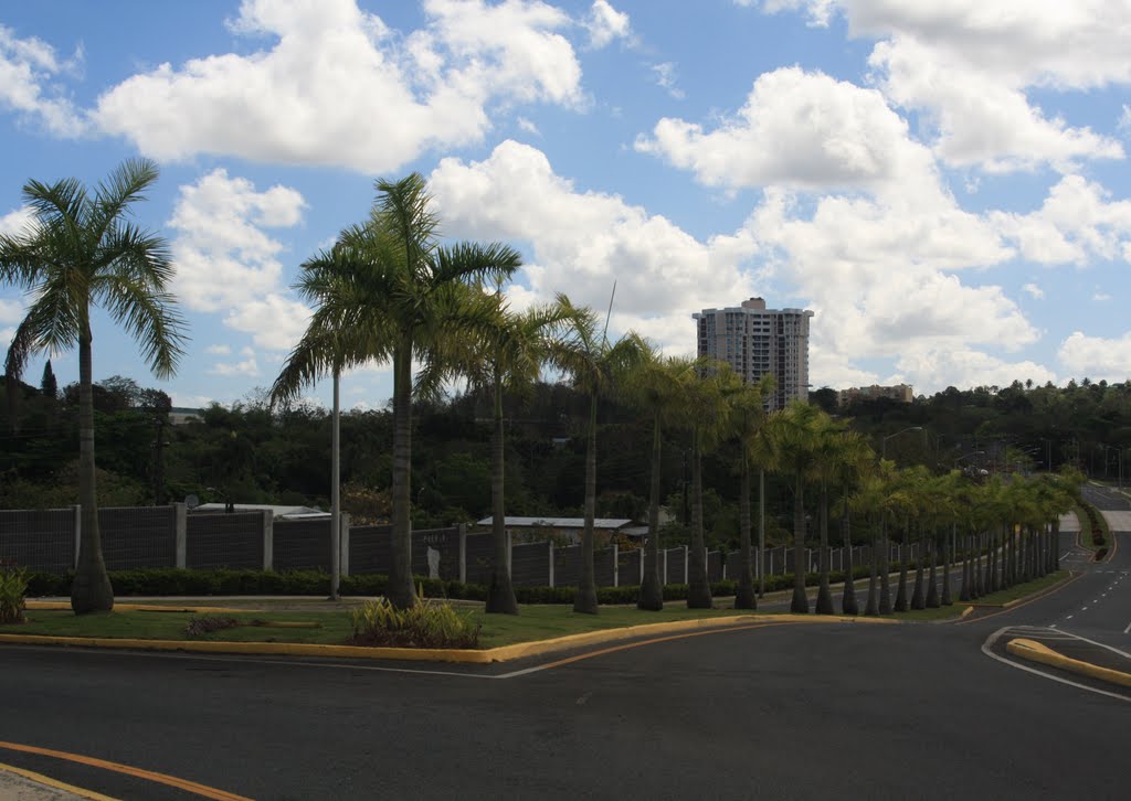 Avenida David Urbina-Guaynabo by Ricardo David Jusino