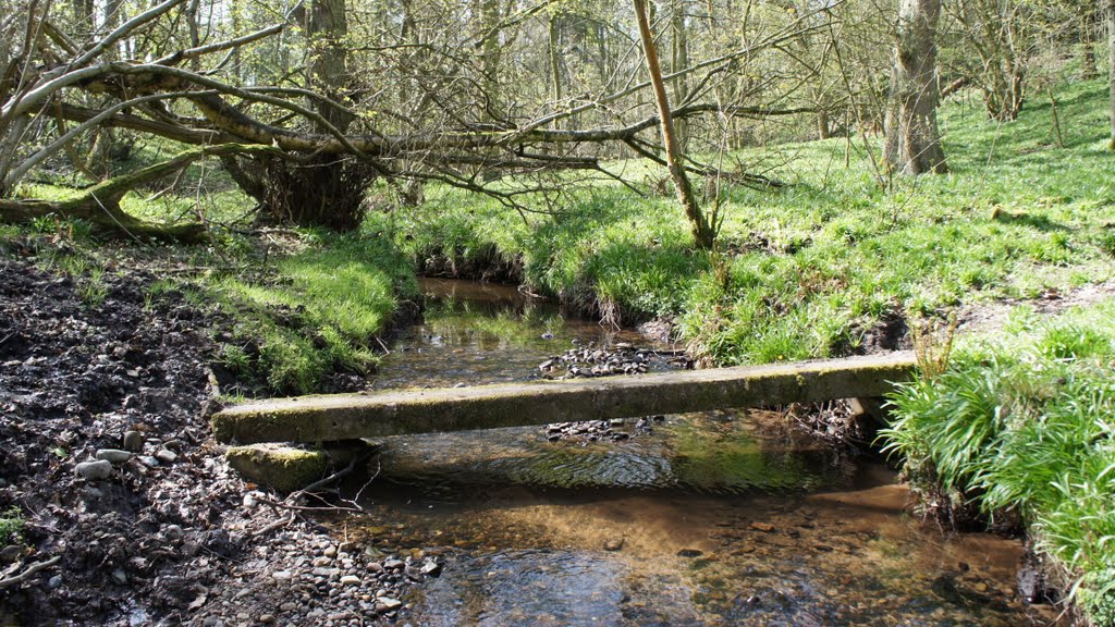 Spencer Brook, Prestbury by Dennis Neill