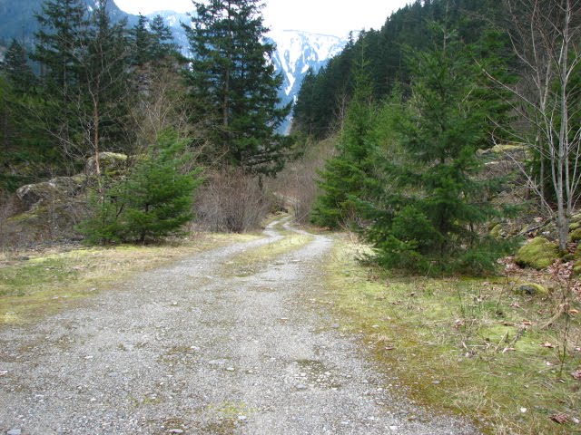 Cariboo Road by Bad Biker