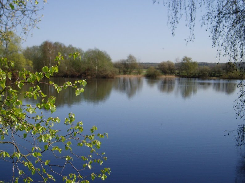 Messingham Nature Reserve by mel54