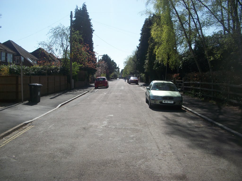 The road of Chestnut Grove by Robert'sGoogleEarthPictures