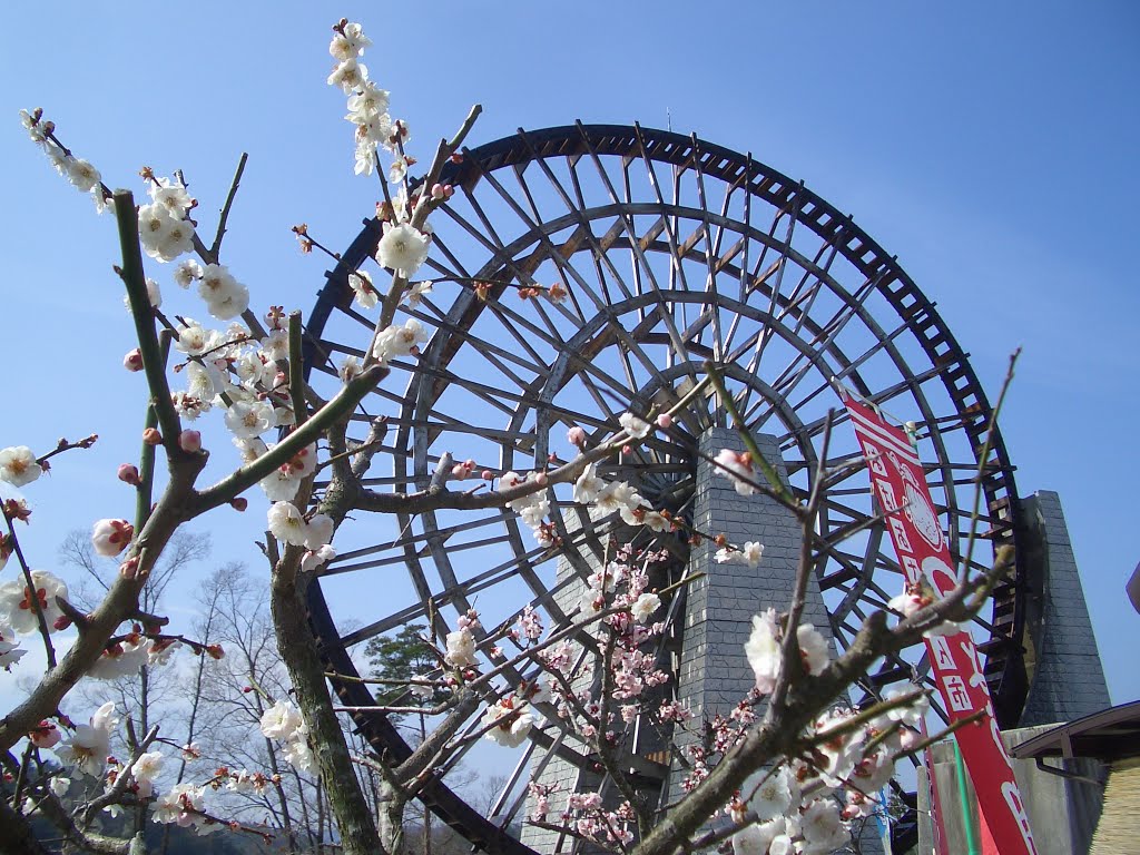 PLUM FLOWER and WATER WHEEL by AKIMINORI