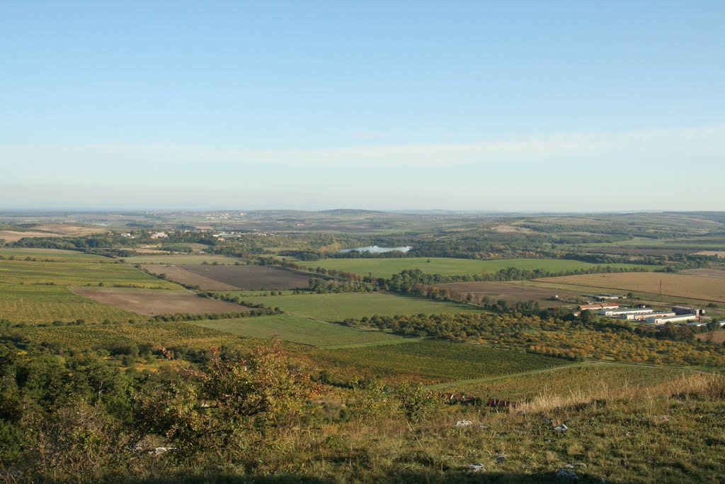 Flatland between Mikulov and Břeclav (view from the Sankt hill) by Dark000