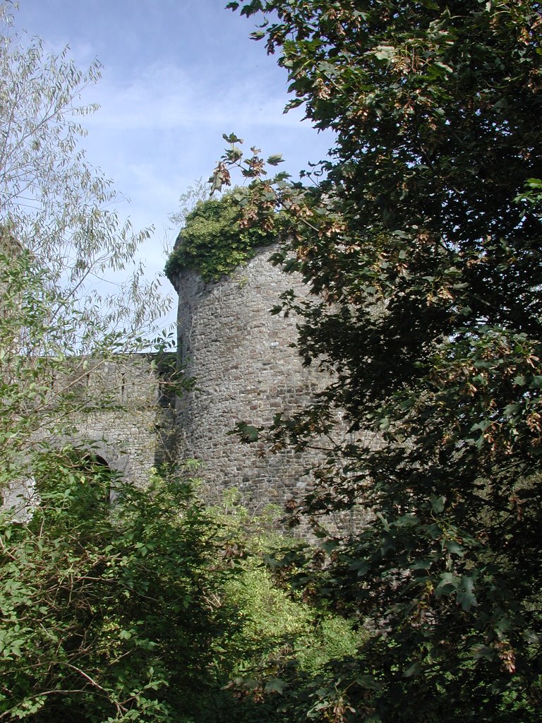 Seraing-Le-Château : le château by Françoise Klauner