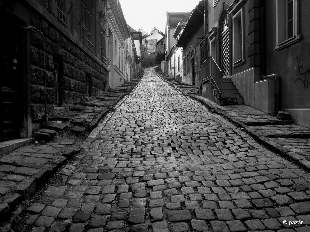 Gül Baba Street in black and white ... (please enlarge) by László Pazár