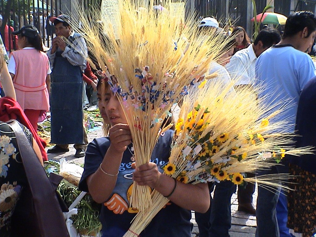 Ciudad de México - Palm Sunday by Nicola e Pina Messic…