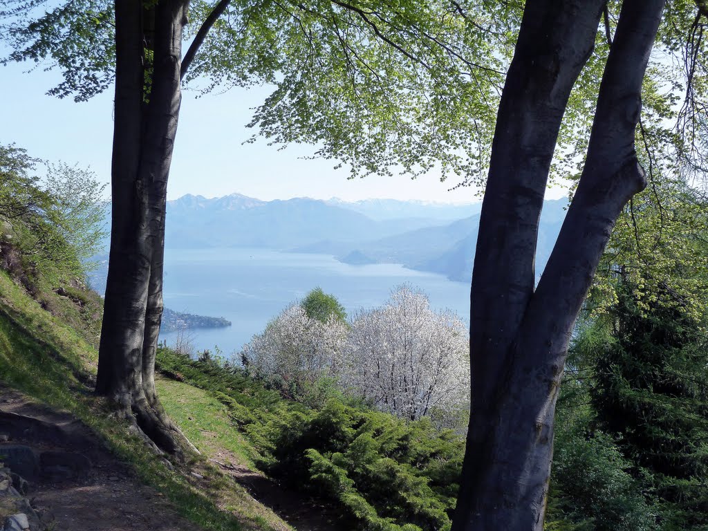 Il lago Maggiore dal giardino Alpinia by Fabrizio Tonna