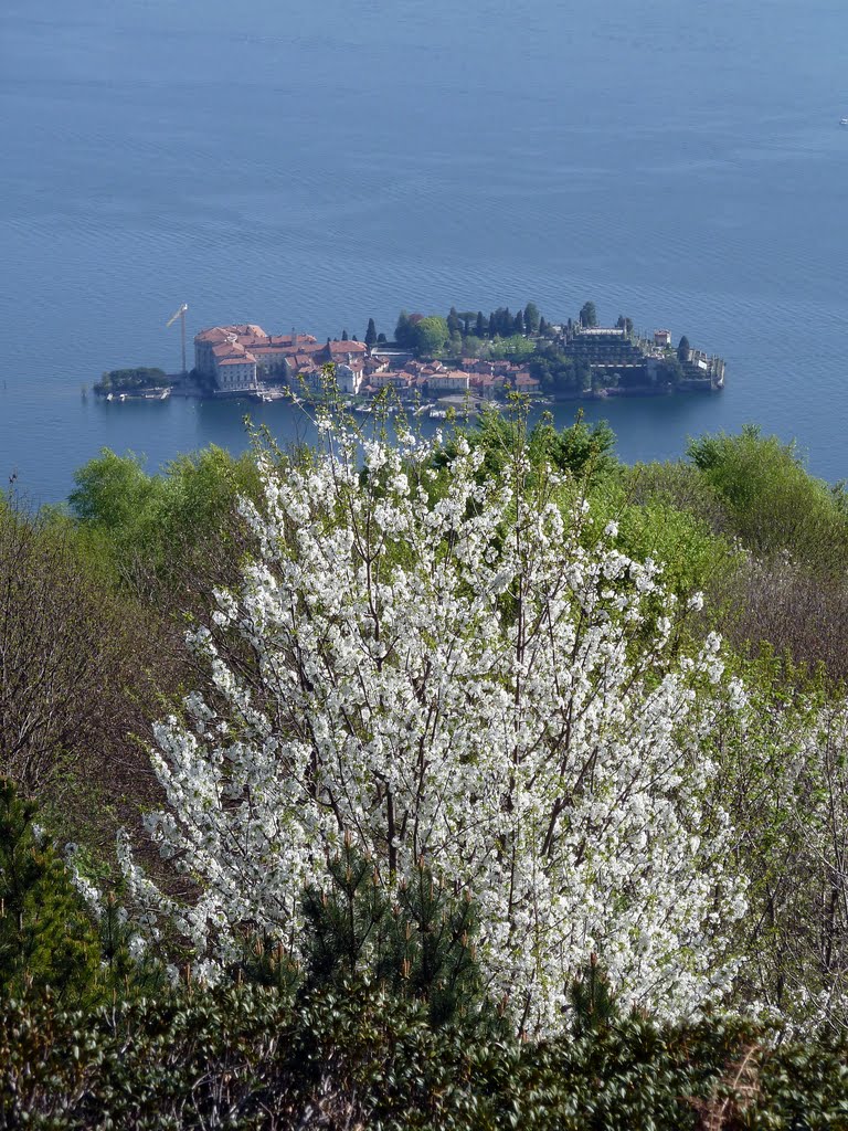 Isola Borromeo dal giardino Alpinia by Fabrizio Tonna