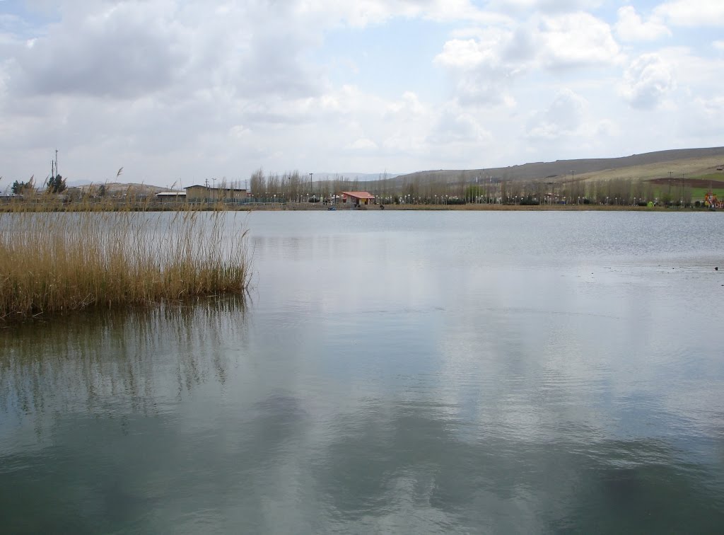 Nilofar Lake سراب نيلوفر by Azizi -Maryam