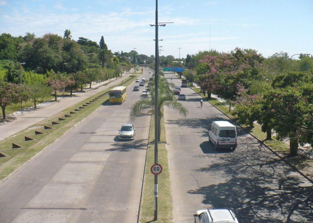 Avenida Eduardo Carrasco by xozafat