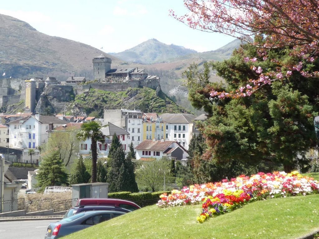 Château fort de Lourdes by mpn29