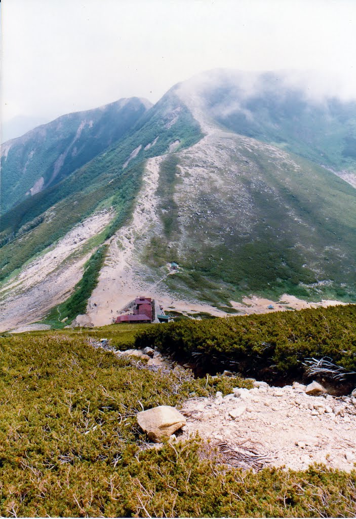 1983　双六岳頂上（2860m）より双六小屋を望む by mandegan