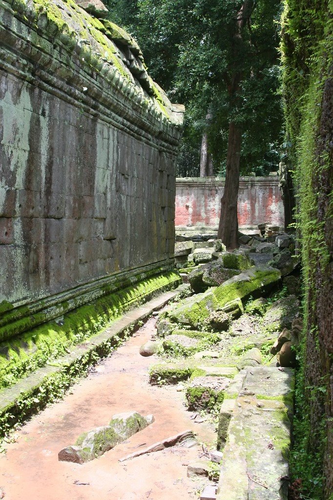 Kambodscha - Ta Prohm by Styve Reineck