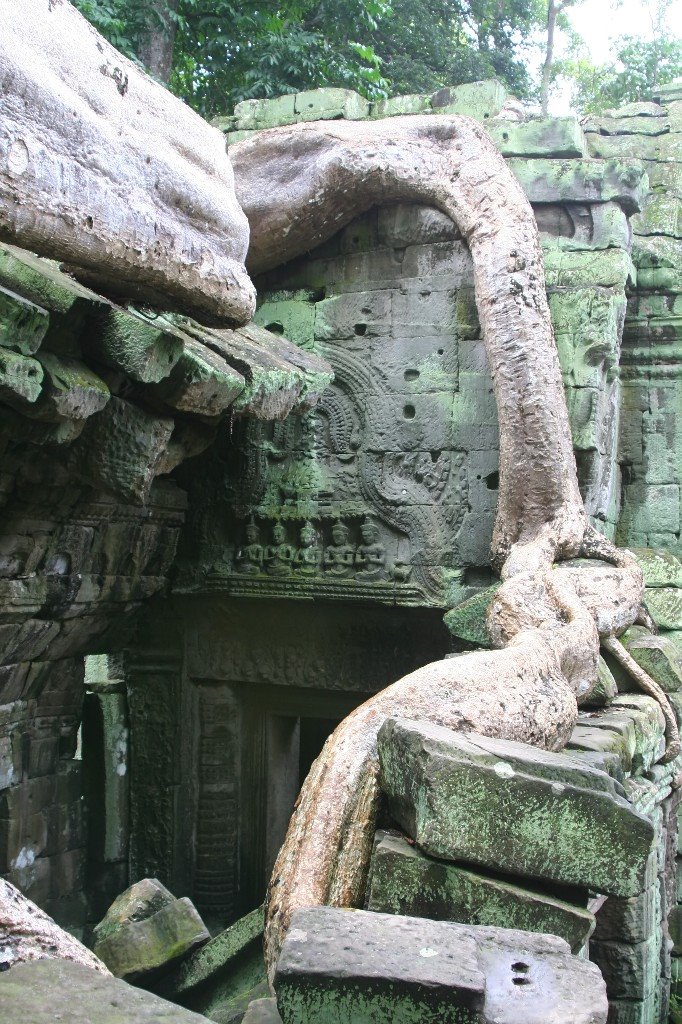 Kambodscha - Ta Prohm by Styve Reineck