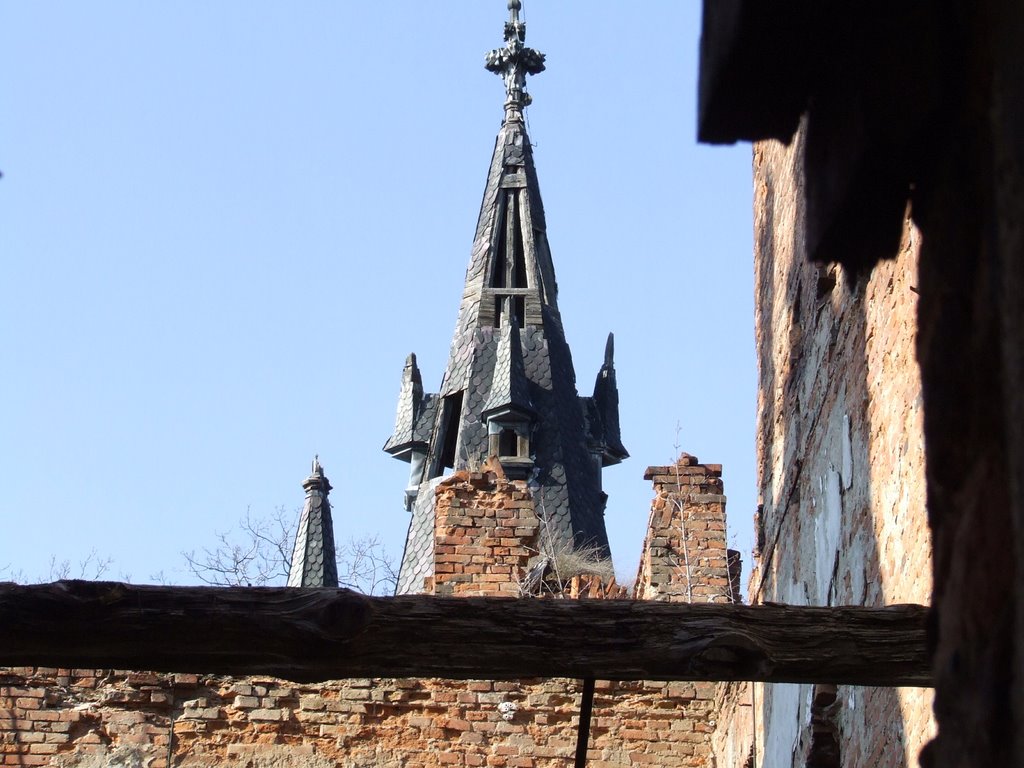 Castle in Kopice. April 2006 by Henry_84