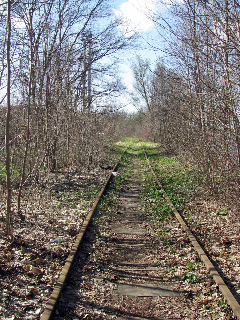 Tory do nikąd - railway to nowhere by Kuterfaga