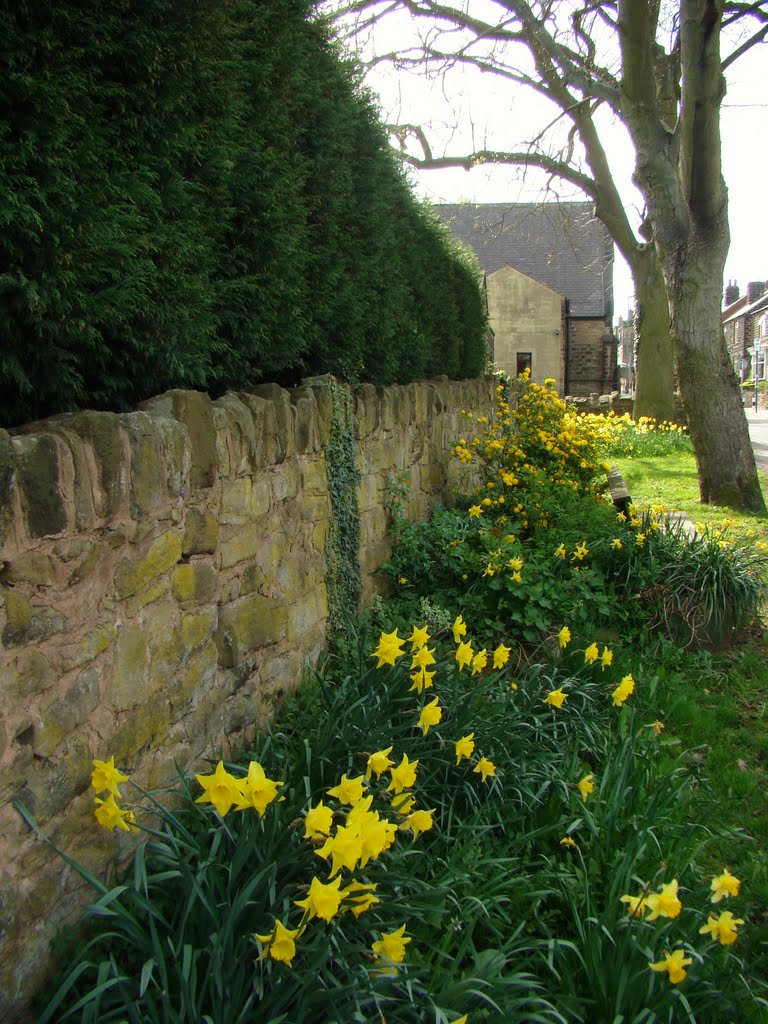 Shady spring scene on Norfolk Hill, Grenoside, Sheffield S35 by sixxsix