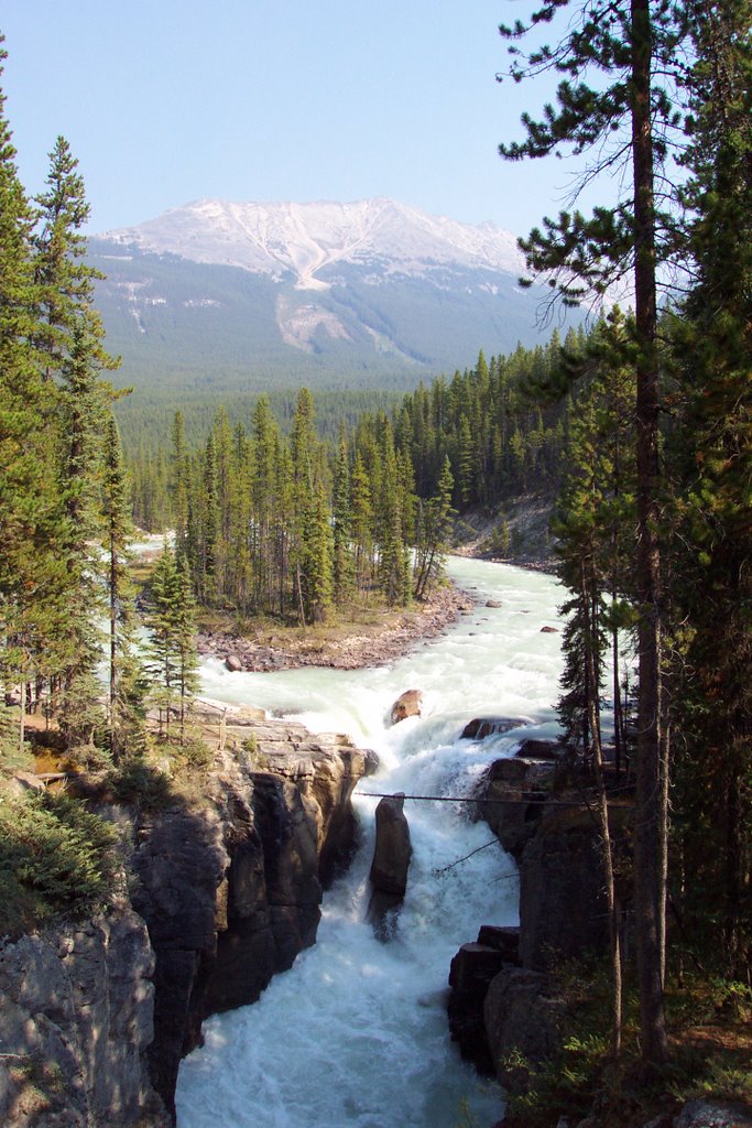 Sunwapta Falls by Kirk Cumming