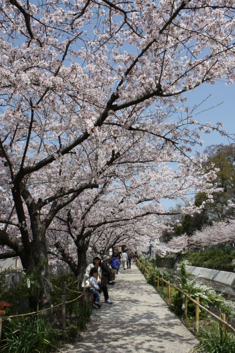 大堀川花の道公園 by HiroshiS