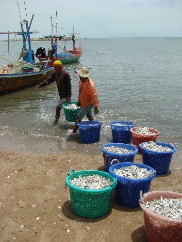 Hua Hin - alter Hafen by Styve Reineck