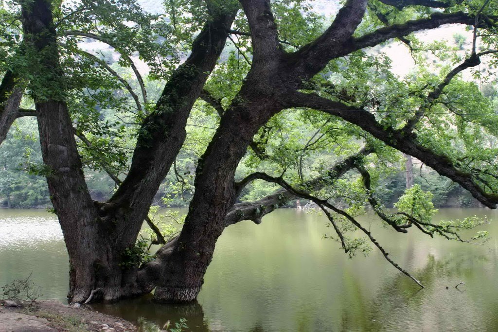 Shurmast Lake by Koosha Dab