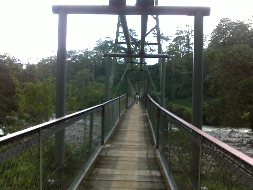 Puente Rio Reventazon, Peralta, Turrialba by Victor Salazar Montoya