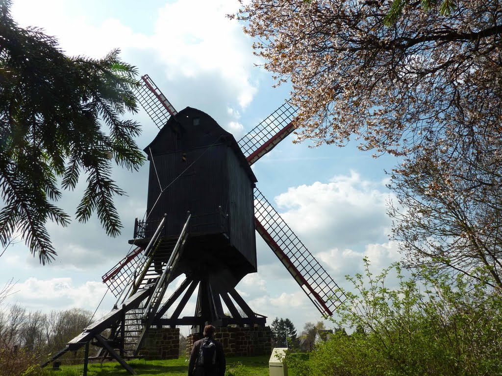 Le moulin du village - Schaffen by Françoise Klauner