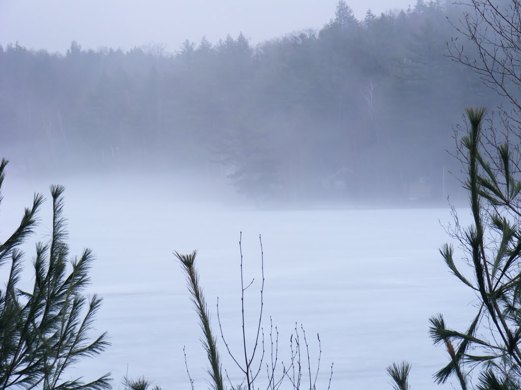 The warm air and the ice of the pond made for an almost artificial fog. by JBTHEMILKER