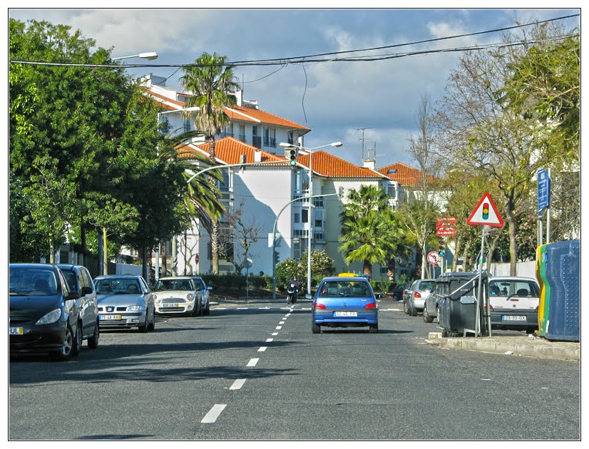 Avenida Nossa Senhora dos Remédios by Barragon