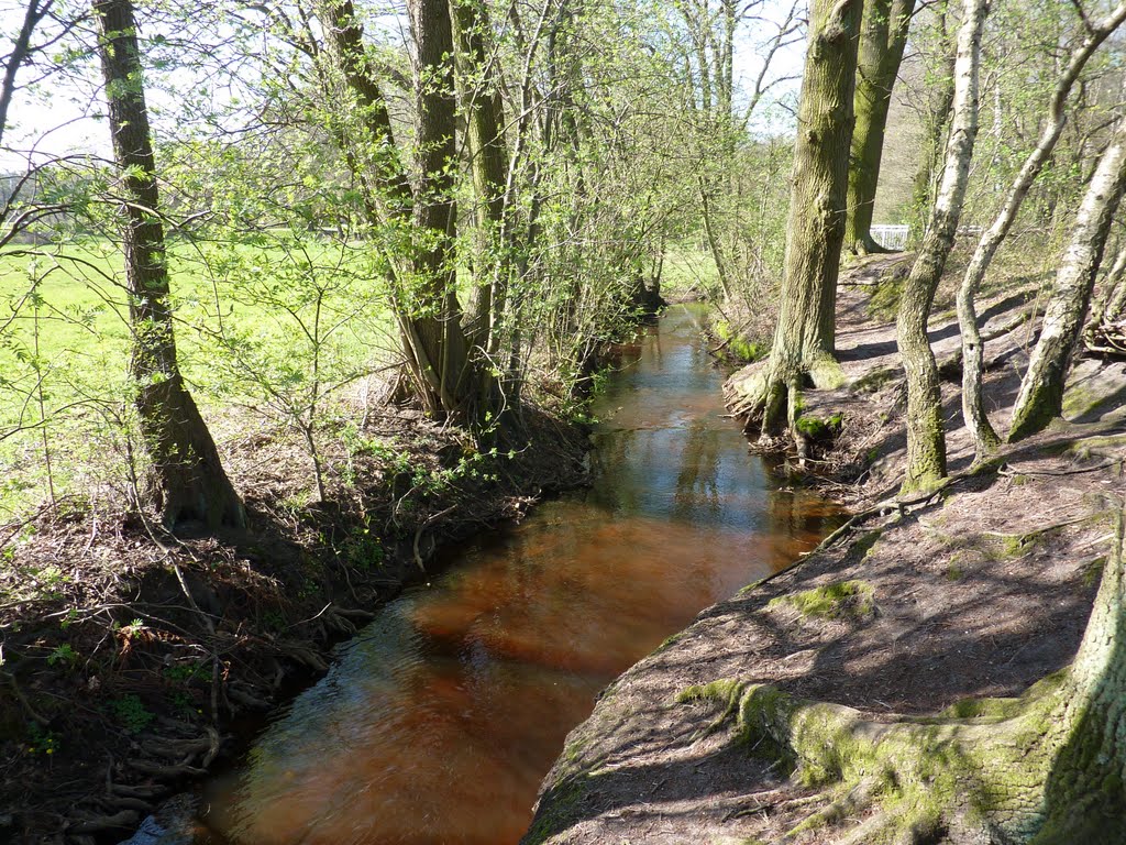 An der Jürse bei Abbensen in der Nähe der Obermühle by Supiisapristi