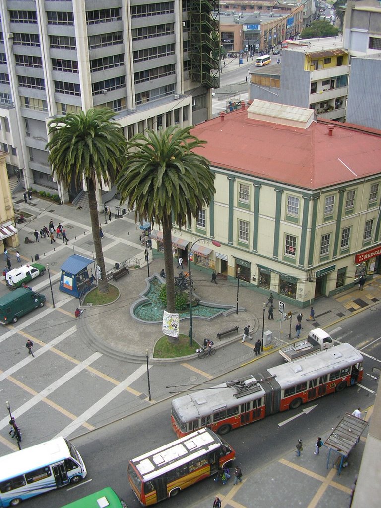 Dos Palmeras,Valparaiso.nam by nelson_arellano_muno…