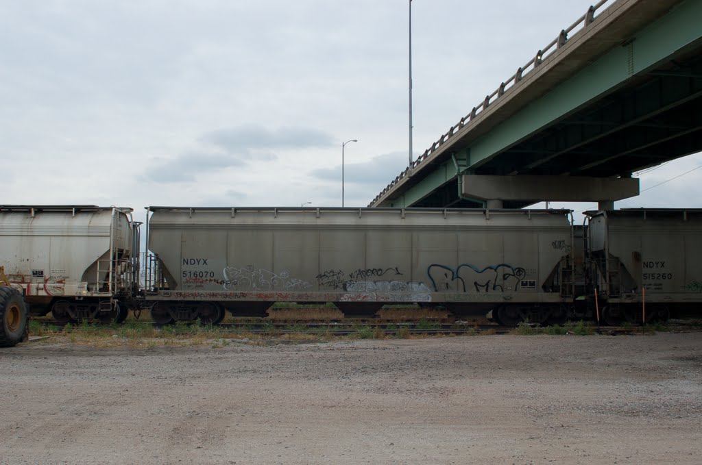 First Union Rail Covered Hopper No. 516070 at Lexington, NE by Scotch Canadian