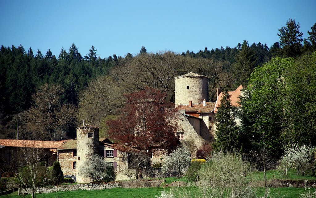 Chateau la Merlée by merlin42