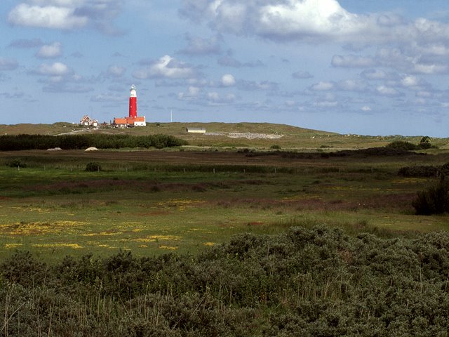 Vuurtoren De Cocksdorp Texel by Salko de Wolf