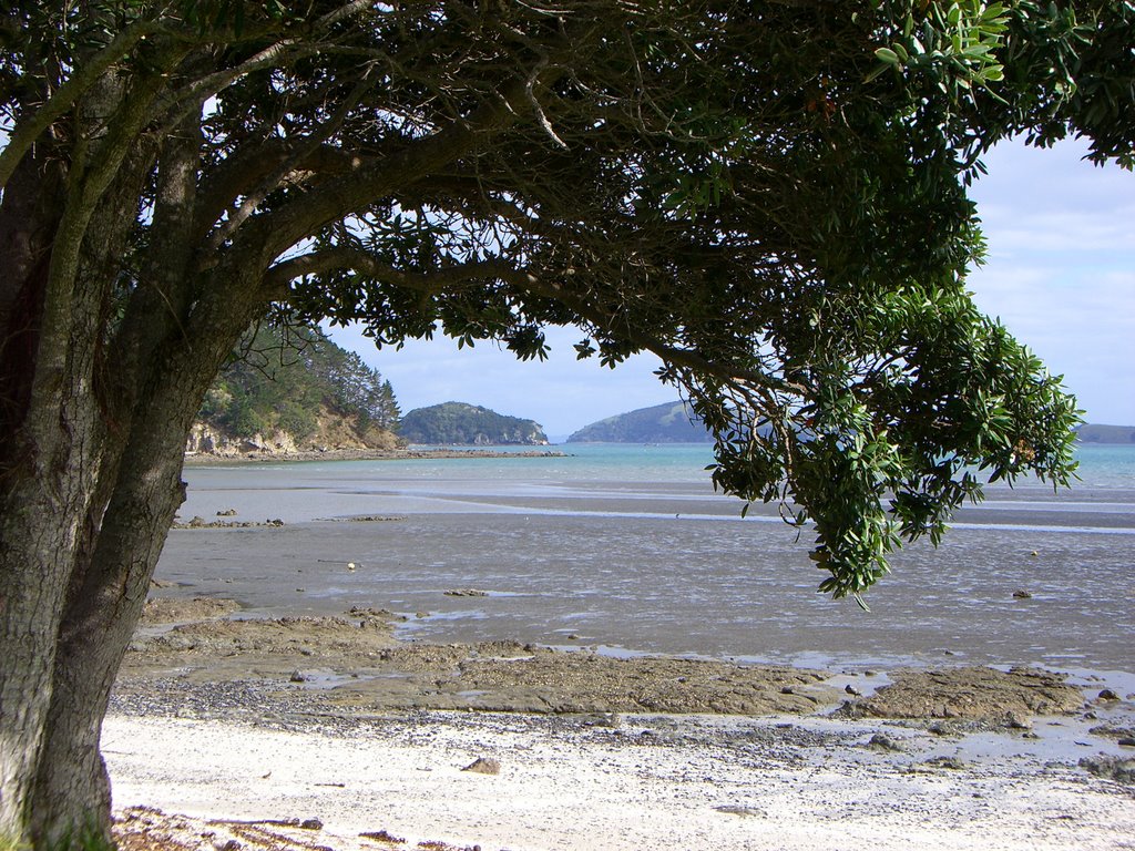 Outside Coromandel town by Karen Brodie