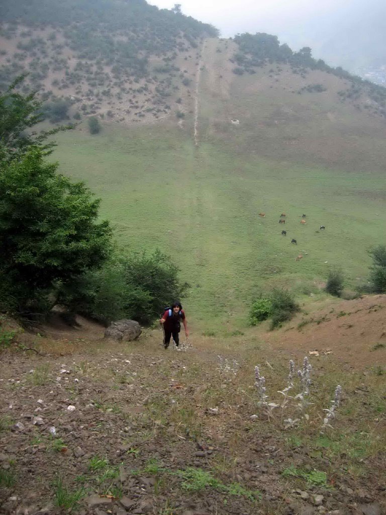 Mazandaran Province, Pol Sefid, خیابان شهید رجایی، Iran by Koosha Dab