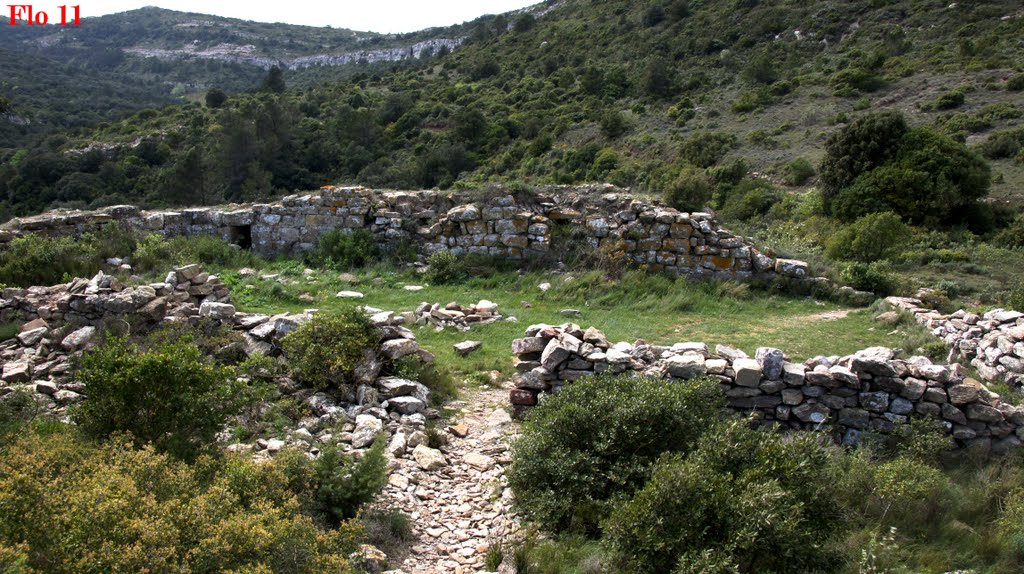 Ruines du prieuré de Saint-Pierre d'Alaric (1) by Flo 11