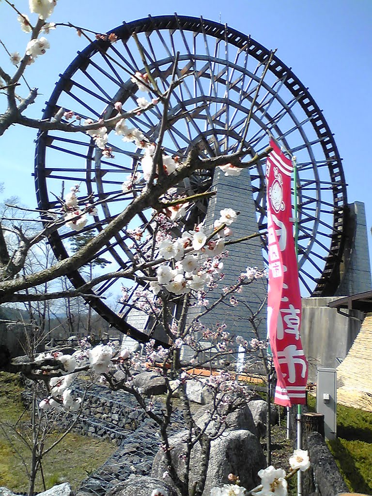 PLUM FLOWER and WATER WHEEL 2 by AKIMINORI