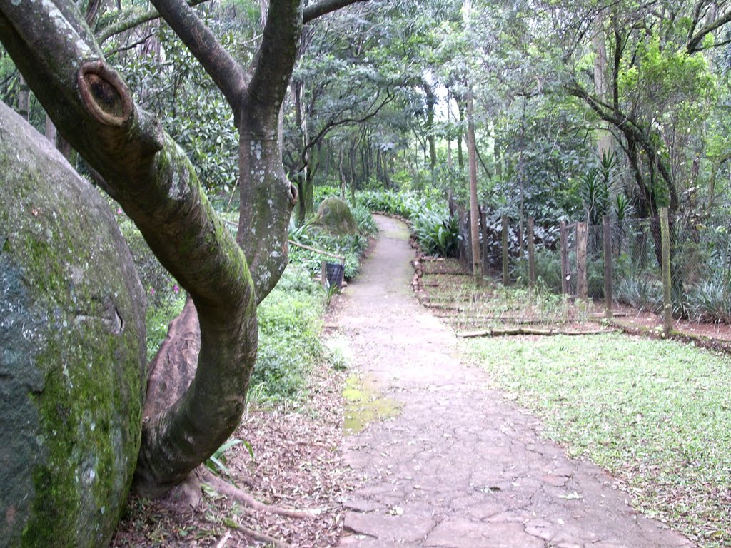 Parque SÃO DOMINGOS by alvim-joão