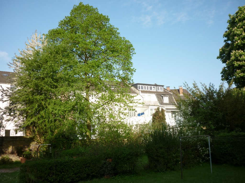 Innengarten, Plittersdorf, 04.2011 by D. Menjoulet