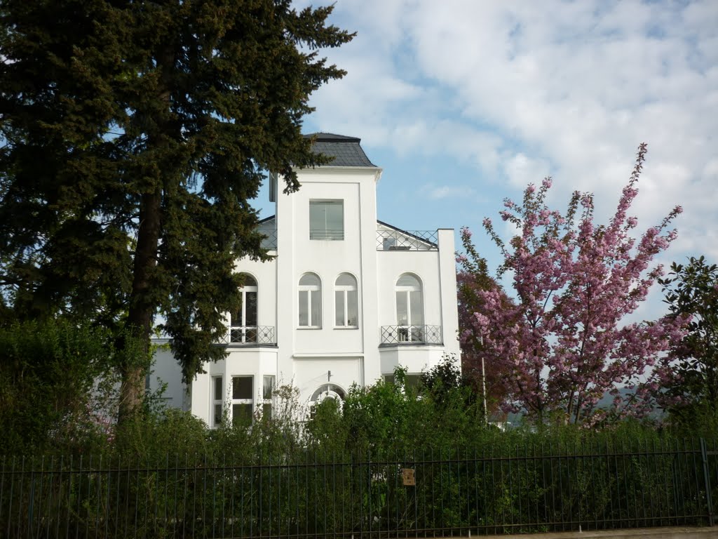 Edles Haus am Rhein, Plittersdorf, 04.2011 by D. Menjoulet