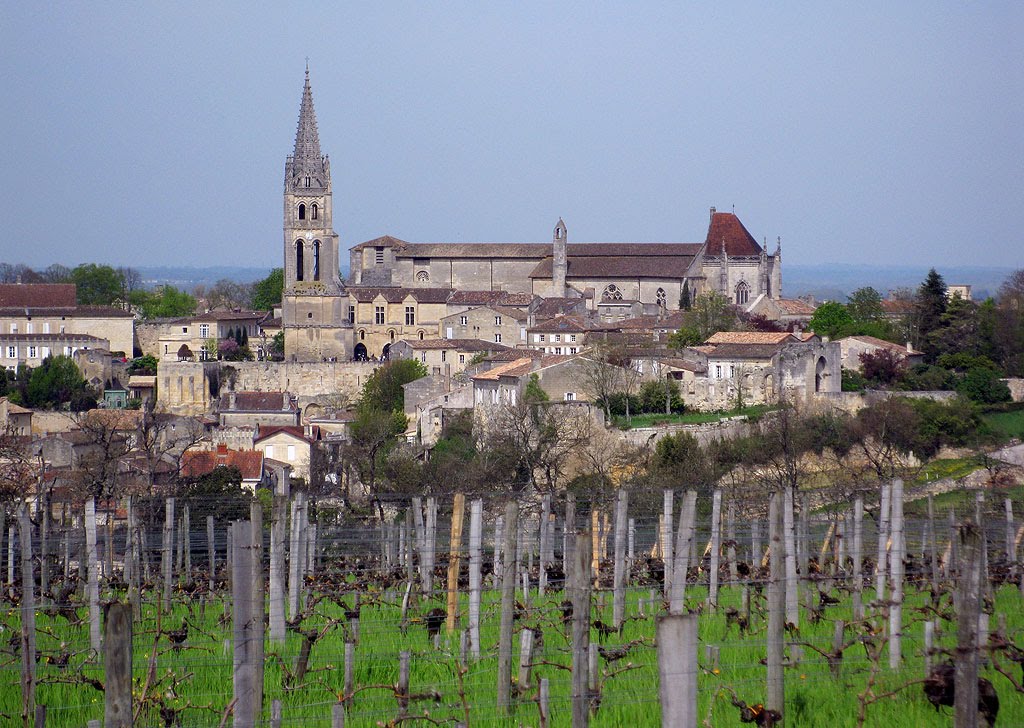 The village and vineyards of Saint-Émilion by astronautilus