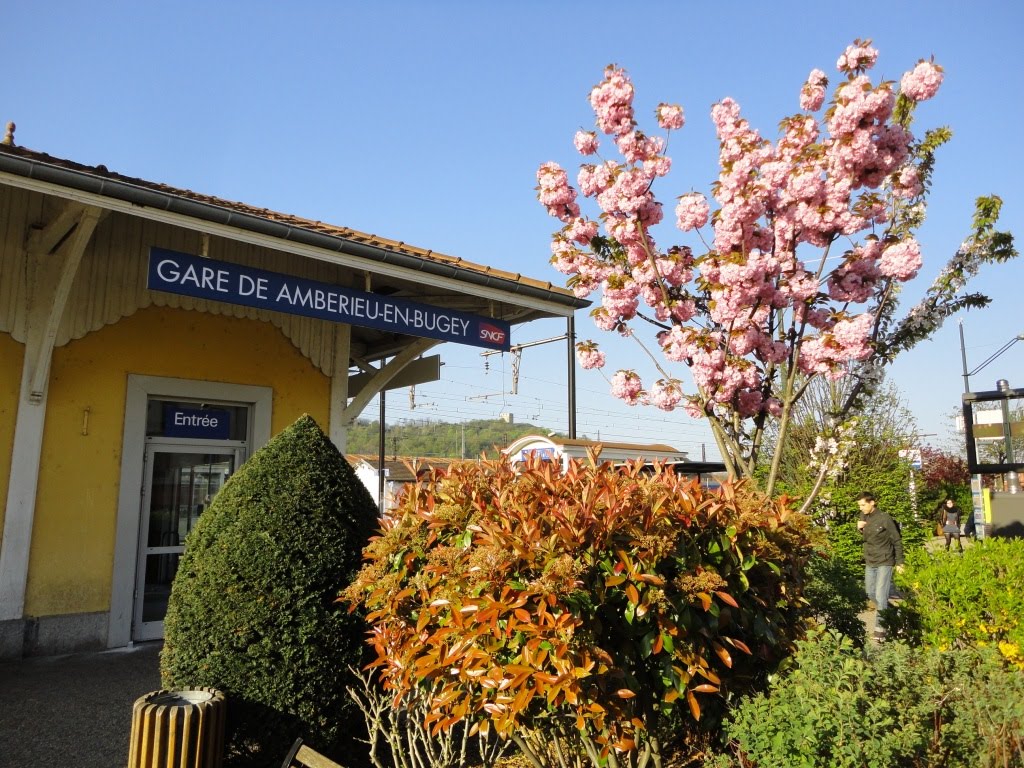 Gare de Amberieu-en-Bugey by Alphard V