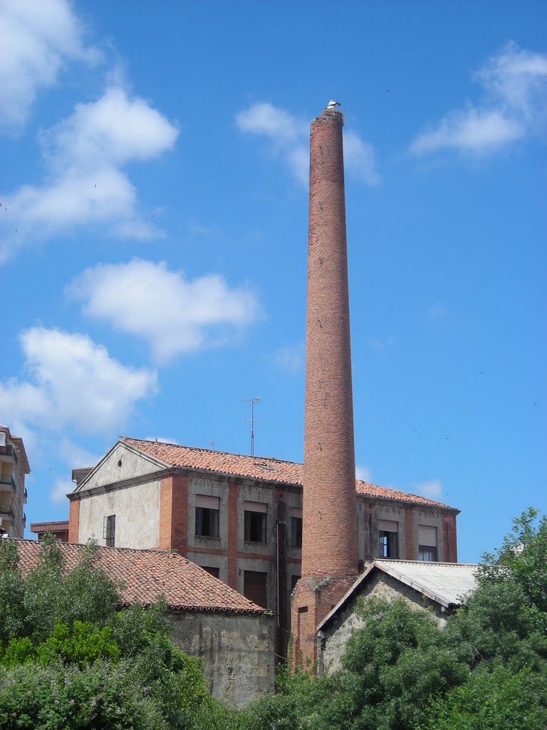 Fábrica y chimenea con cigüeña. Béjar by CarmenBejar