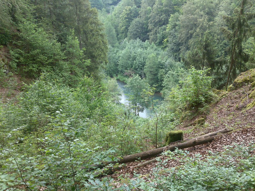 Blick von der Riesenburg auf die Wiesent by Schmeukel