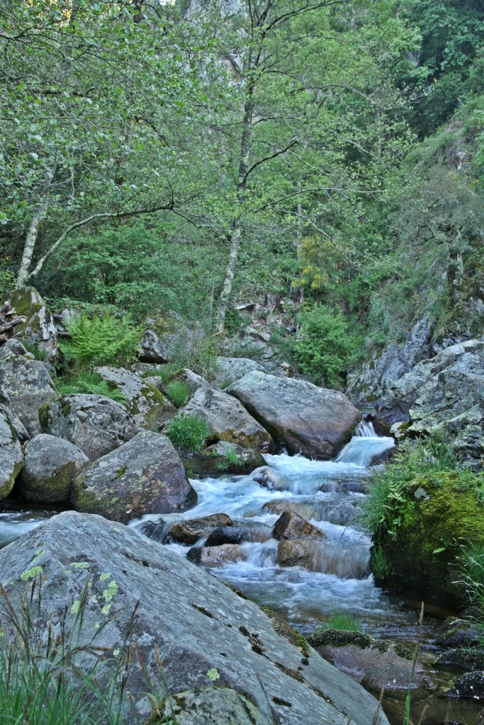 Chão do rio,rio Lordelo,Couto de Esteves - Sever do Vouga by João Paulo Coutinho