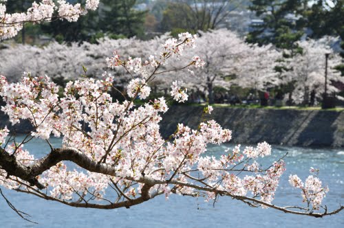 Uji City by sonotune