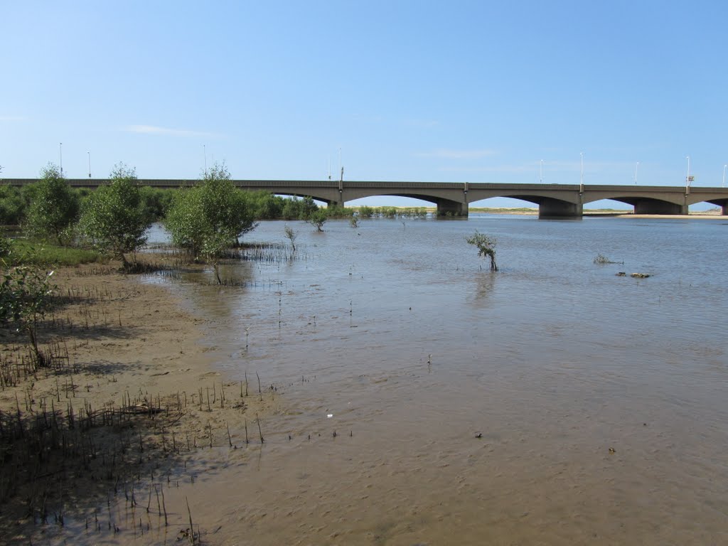 M4 bridge from edge of Mngeni River estuary by John A Forbes